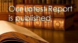 就醫療改革第二階段諮詢的意見書